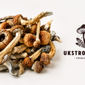 Buy Aztec Gods Magic Mushroom Online