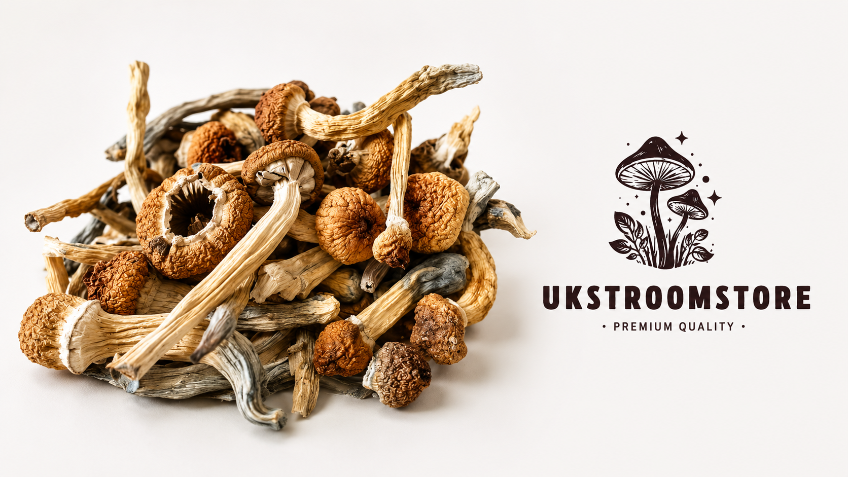 Buy Aztec Gods Magic Mushroom Online Buy Aztec Gods Magic Mushroom Online