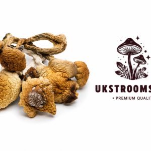 Buy B+ Magic Mushrooms Online