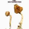 Buy African Transkei Mushrooms Online