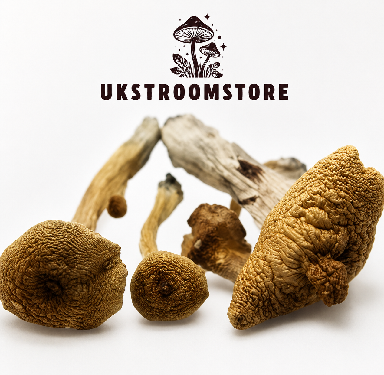 Buy Alacabenzi Magic Mushrooms Online Buy Alacabenzi Magic Mushrooms Online